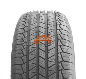 "SUV SUMMER"